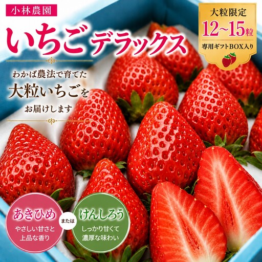 いちご 苺 イチゴ 大粒 デラックスセット 12～15粒 あきひめ けんしろう 専用ギフトBOX 産地直送 鳥取県 湯梨浜町 小林農園 | 25MZ