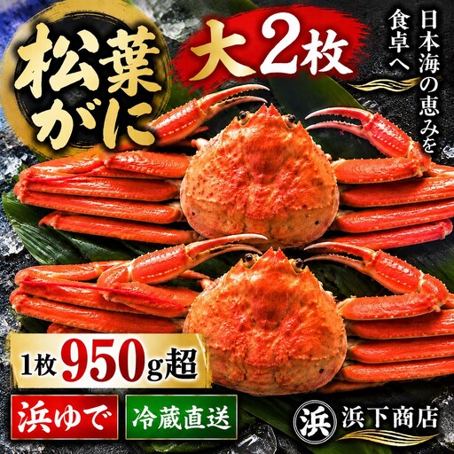 松葉ガニ 浜ゆで 950g以上 2枚 特大 タグ付き 蟹 かに 松葉蟹 浜下商店 | 52MZ