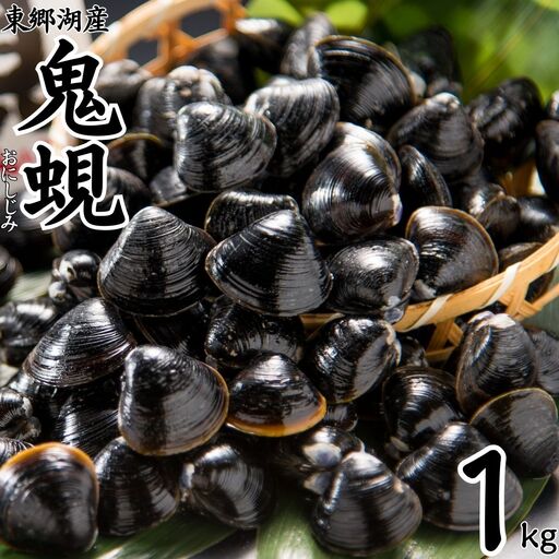 選べる 内容量 大粒 冷凍 しじみ 鬼蜆 特大 1kg おにしじみ 東郷湖 特大 大きい 砂抜き 不要 加熱用 直送 新鮮 味噌汁 みそ汁 パスタ ボンゴレ 肝臓 二日酔い オルニチン ダイヤ 銘柄 ブランド 鳥取県 湯梨浜町 名産 特産品 人気 おすすめ 送料無料 60MZ
