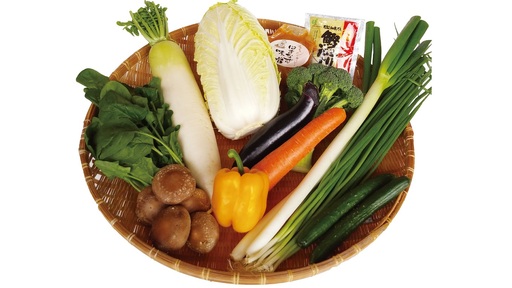 産地直送 採れたて 野菜 旬 夢の箱 セット | 109MZ