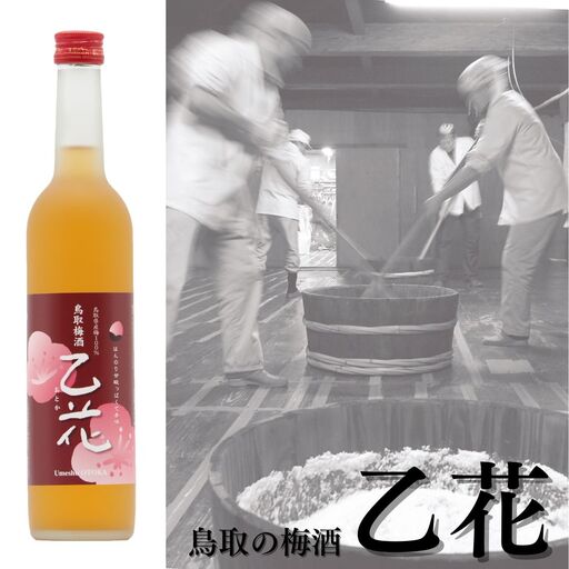 136MZ.鳥取の梅酒『乙花』