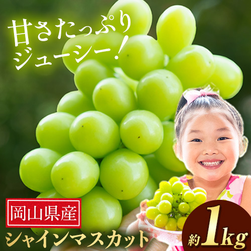 岡山県産 シャインマスカット 1kg  ｼｬｲﾝﾏｽｶｯﾄ
