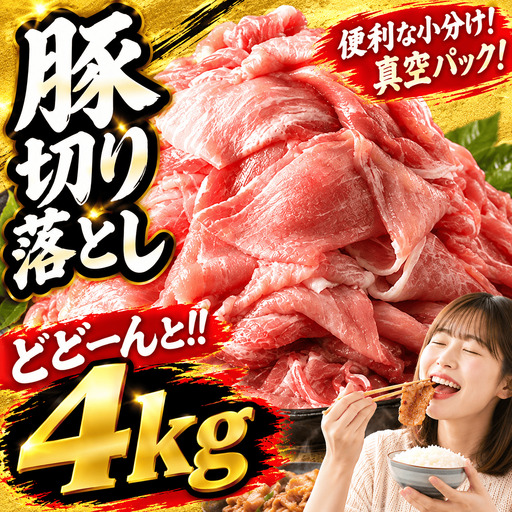 豚切り落とし 4kg (500g×8P) [ 真空パック 小分け ]豚切り落とし