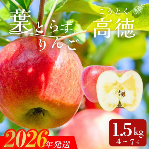 アグリード 福島市産 りんご 葉とらず林檎（高徳）約1.5kg（4～7玉）【2026年発送】No.3394