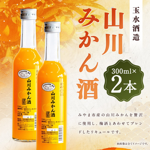 T26 みかん酒 300ml × 2本 合計600ml お酒 アルコール リキュール 果実酒 フルーツ 果汁 炭酸割 ソーダ割 ロック 山川みかん 梅酒 ブレンド 8度 柑橘 みかん ミカン