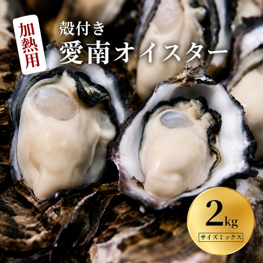 愛南 オイスター 2kg 牡蠣 加熱用 殻付き 牡蠣