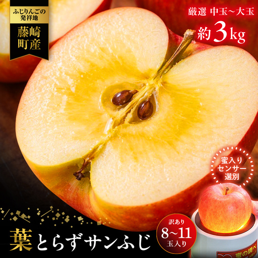 ≪先行予約≫ [訳あり] 葉とらずサンふじ 中〜大玉 約3kg (8〜11玉) [アップルアーク] 青森りんご 林檎 リンゴ ご家庭用 葉取らずりんご 発祥の地 果物 くだもの フルーツ おすすめ 青森県産 藤崎町
