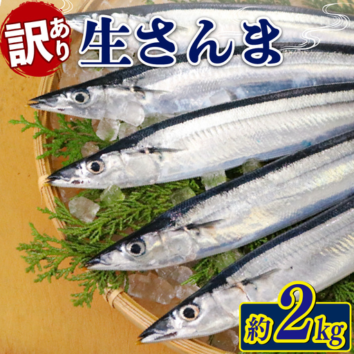 訳あり 生さんま 約2kg [発送 9月中旬〜11月末] 冷蔵