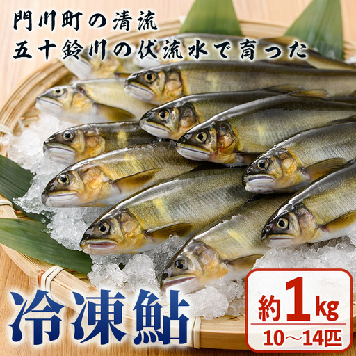 冷凍鮎(約1kg・10〜14匹) 鮎 冷凍 小分け 国産 門川町産 宮崎県産 塩焼き あゆ 魚 魚介 川魚 養殖 香魚 甘露煮 [ME-04][米良水産]