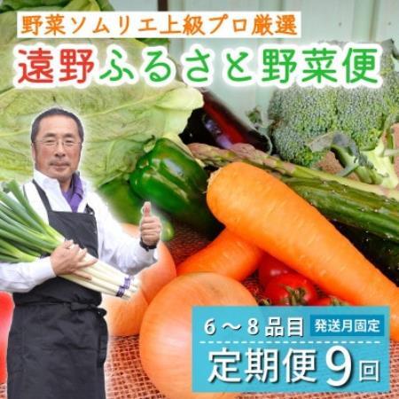 【発送月固定定期便】遠野ふるさと野菜便 野菜ソムリエ 厳選 詰め合わせセット 岩手県遠野市全9回【配送不可地域：離島】【4092654】