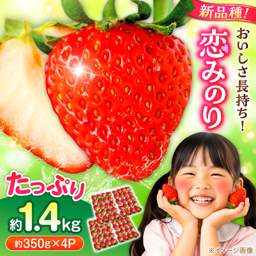【先行予約】【2027年3月中旬より順次発送】いちご 恋みのり 百花園ファーム 約1.4kg（約350g×4P）20粒/P Lサイズ 【株式会社合志百花園ファーム】[AYDW003]