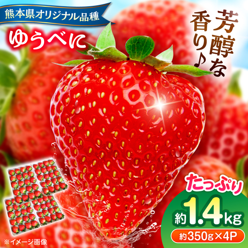 【先行予約】【2027年3月中旬より順次発送】いちご ゆうべに 百花園ファーム 約1.4kg（約350g×4P）20粒/P Lサイズ 【株式会社合志百花園ファーム】[AYDW007]