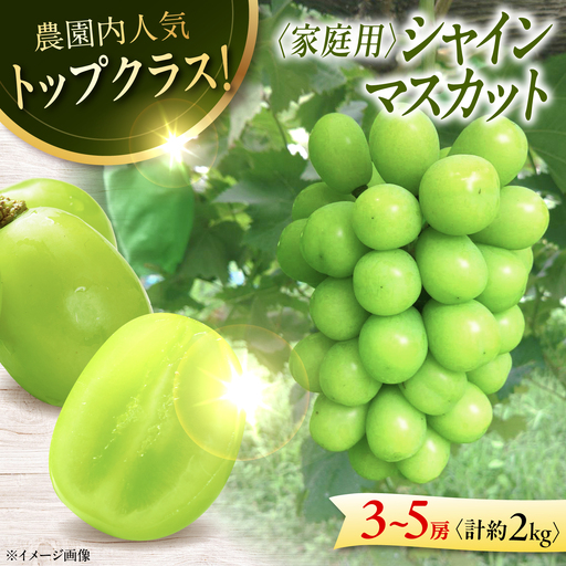 家庭用 シャインマスカット 2kg (3から5房)  ぶどう マスカット [APCK007]
