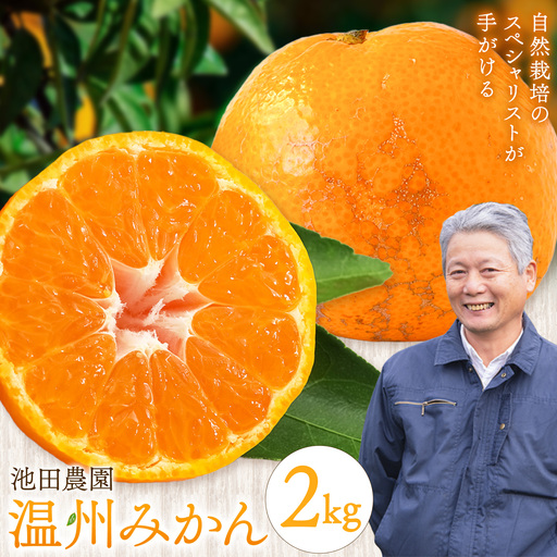 温州みかん 2kg 池田農園