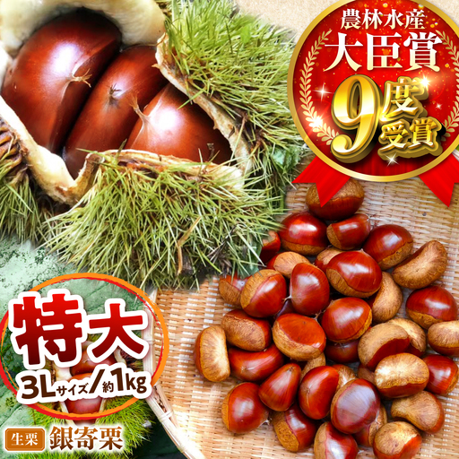 [先行予約]銀寄栗 特大3L 1kg 約30粒 栗