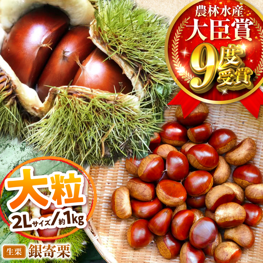 [先行予約]大粒銀寄栗 2L 1kg 約40粒 栗