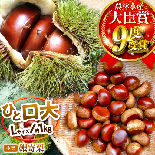 [先行予約]銀寄栗 Lサイズ 1kg 約55粒 栗