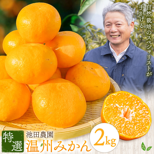 特選 温州みかん 2kg 池田農園