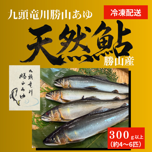 鮎 勝山市 九頭竜川産天然鮎 300g