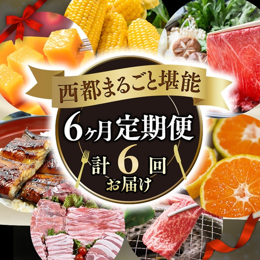 [季節の定期便A]6ヶ月毎月届く 西都まるごと堪能セット6品お届け![お楽しみコース]宮崎完熟マンゴー 宮崎牛 うなぎ スイートコーン いちご 地鶏 すき焼き[1-1a]