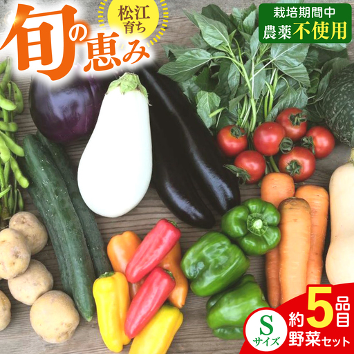 須山農園野菜セット 5品 やさい 詰め合わせ 島根県産[ALBD007]