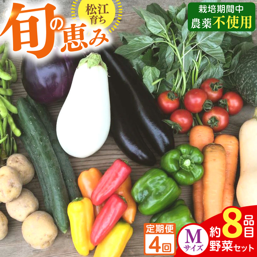 【4回】野菜定期便 8品目 野菜セット[ALBD008]