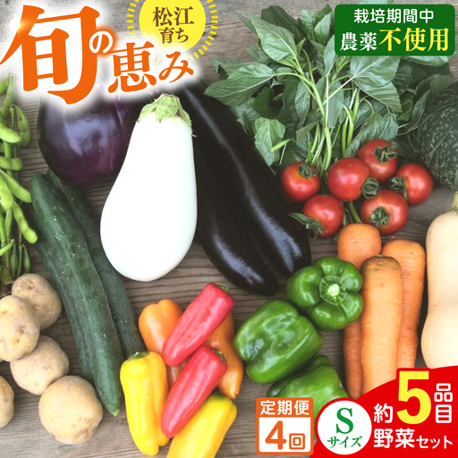 [4回]野菜定期便 8品目 野菜セット[ALBD011]