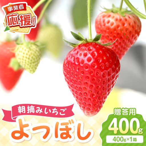 [2027年1月〜2027年4月発送予定][贈答用]朝摘みいちご よつぼし 400g[ふるさと納税3.0][117D-014-2027]