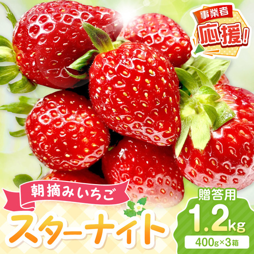 【2027年1月～2027年4月発送予定】【贈答用】朝摘みいちご スターナイト  1.2kg【ふるさと納税3.0】【117D-013-2027】