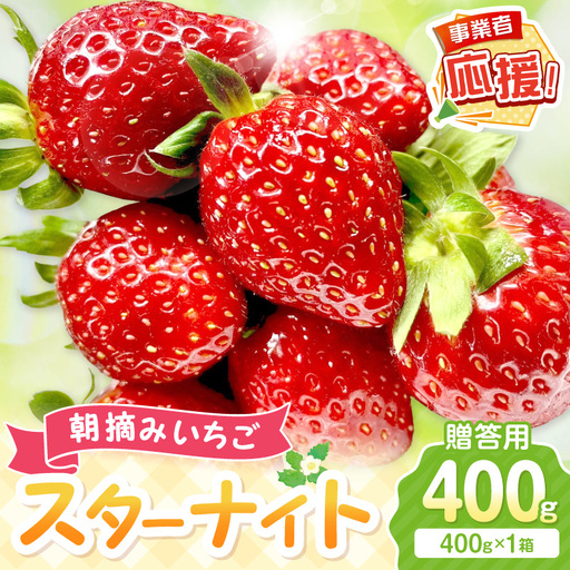 [2027年1月〜2027年4月発送予定][贈答用]朝摘みいちご スターナイト 400g[ふるさと納税3.0][117D-011-2027]