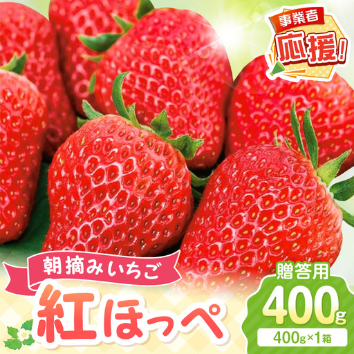 [2027年1月〜2027年4月発送予定][贈答用]朝摘みいちご 紅ほっぺ 400g[ふるさと納税3.0][117D-008-2027]