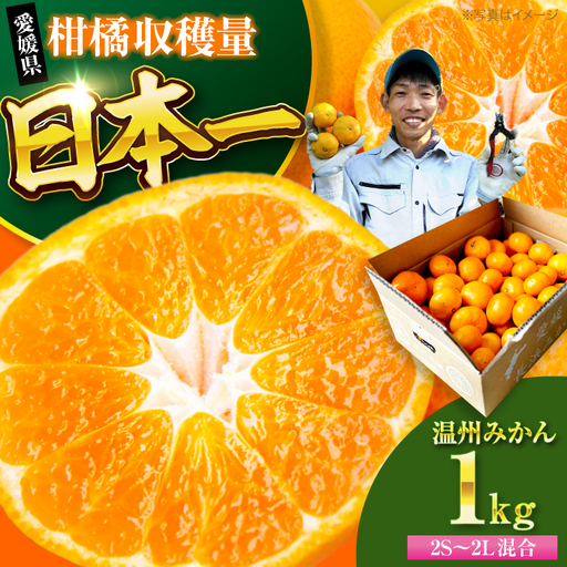 みかん 温州みかん 1kg (2S-2L)[AGBC019]