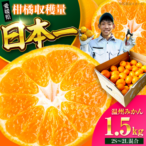 みかん みかん 1.5kg (2S-2L)[AGBC020]