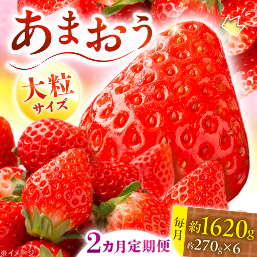 【全2回定期便】あまおう いちご 1620g（約270g×6パック）【2027年3月初旬より順次発送】《築上町》【株式会社HSP-テクノ】いちご 苺 グランデ等級 果物 イチゴ[ABFG004]