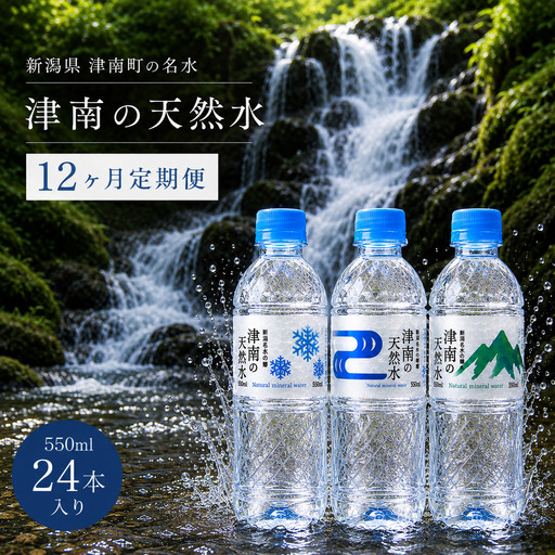 【12ヶ月定期便】津南の天然水 550ml × 24本  | 津南町 ミネラルウォーター