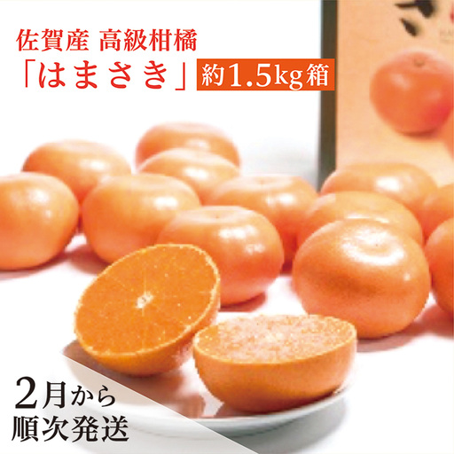 [2027年2月から順次発送] 佐賀産 高級 柑橘 みかん 『はまさき』 約 1.5kg 箱 _b-376
