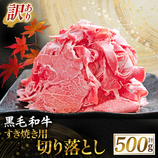 牛肉 【訳あり】 宮崎県産黒毛和牛すき焼き用切り落とし 500g 牛肉