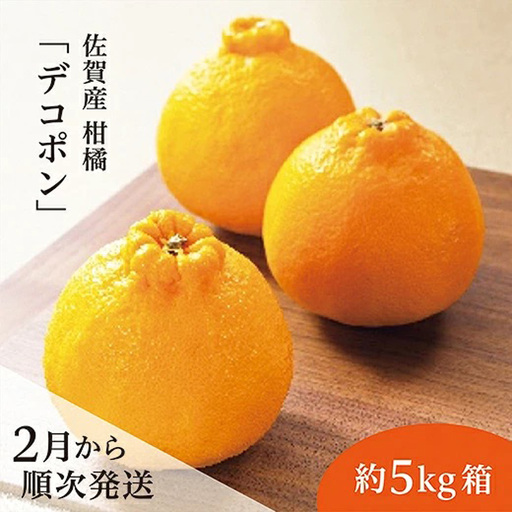 【2027年2月から順次発送】 佐賀産 柑橘 みかん 『 デコポン』約 5kg 箱 かんきつ 不知火 しらぬい 糖度13度以上 _b-379