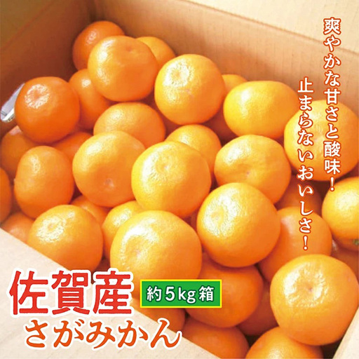 佐賀産 さがみかん 約 5kg 箱 b-390