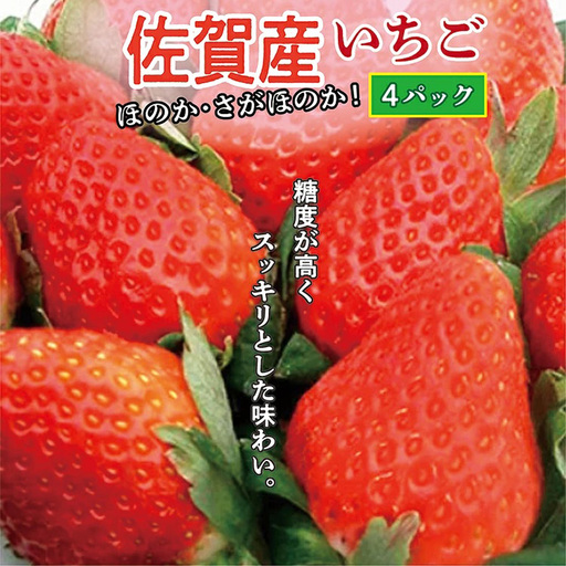 [2027年1月から順次発送]佐賀産 いちご 『 ほのか 』『 さがほのか 』 品種おまかせ 4パック _b-387
