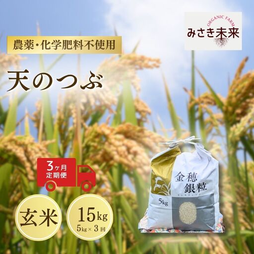 [先行予約][3か月定期便]天のつぶ 玄米 15kg (5kg×3回) 令和8年産 | 無農薬 農薬不使用 化学肥料不使用 精米 お米 米 こめ コメ 福島産 福島県産 南相馬 みさき未来 天のつぶ