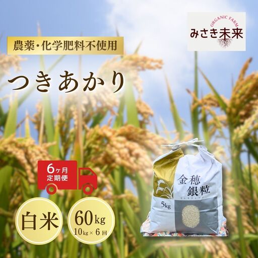 【先行予約】【6か月定期便】つきあかり 白米 60kg (10kg×6回) 令和8年産 | 南相馬市 みさき未来