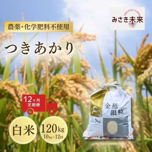 【先行予約】【12か月定期便】つきあかり 玄米 120kg (10kg×12回) 令和8年産 | 南相馬市 みさき未来