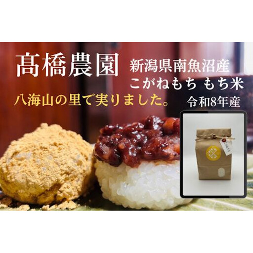 新米です！[令和8年産] 南魚沼産こがねもち5kg　八海山の里で実りました。【銘柄米 精米 もち米 魚沼産 新潟米 お米 米 こめ コメ ご飯 御飯 ごはん】