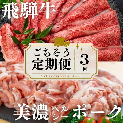【定期便】飛騨牛 ・ 豚 づくし 定期便 全3回 | 本巣市 トキノ屋 食品