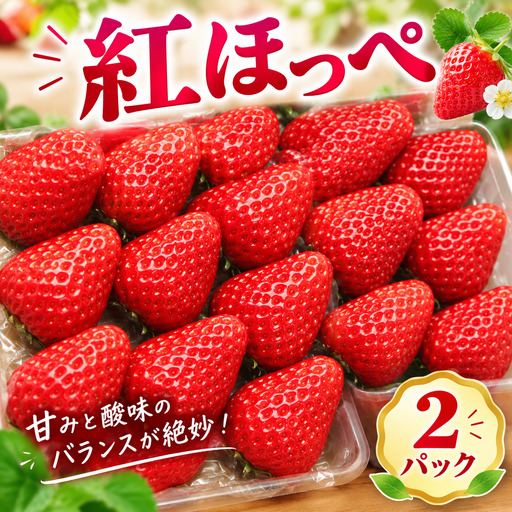 【先行予約】いちご 紅ほっぺ 2パック 