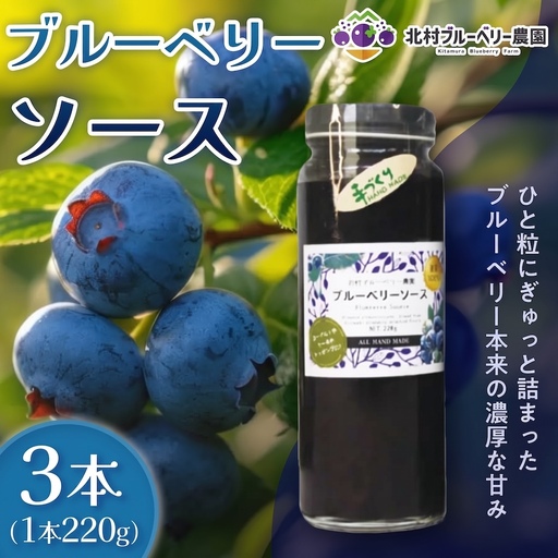 ブルーベリーソース 220g × 3本 ブルーベリー ソース 自然栽培 無農薬 化学肥料不使用 冷蔵 ベリー 国産 フルーツ 果物 宮城県 石巻市 宮城 石巻