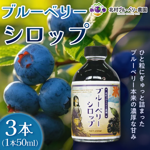 ブルーベリーシロップ 50ml × 3本 ブルーベリー シロップ 自然栽培 無農薬 化学肥料不使用 冷蔵 ベリー 国産 フルーツ 果物 宮城県 石巻市 宮城 石巻