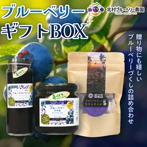 [ブルーベリーギフトBOX] ブルーベリージャム ・ ソース ・ 生キャラメル ×1セット ブルーベリー 国産 自然栽培 無農薬 化学肥料不使用 宮城県 石巻市 宮城 石巻