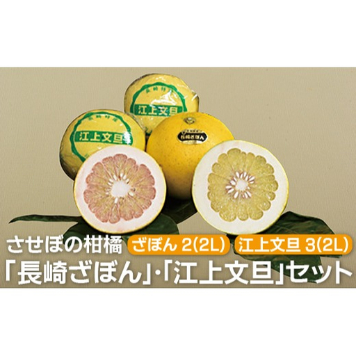 [ 先行予約 ] 文旦 ざぼん セット 計4kg 文旦 ブンタン